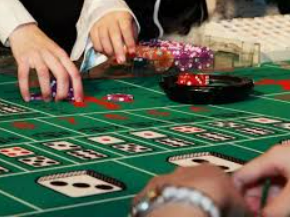 od体育在线2024最新版